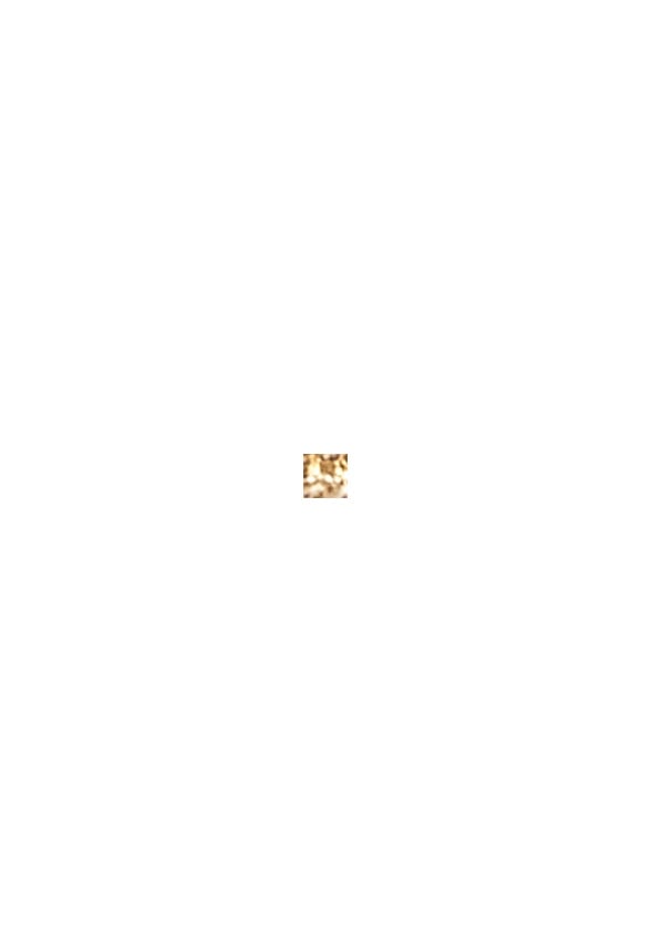 Keyla Mini Hoops Multipack Cream/ Gold
